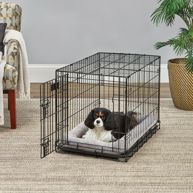 Pets at home single door dog crate outlet